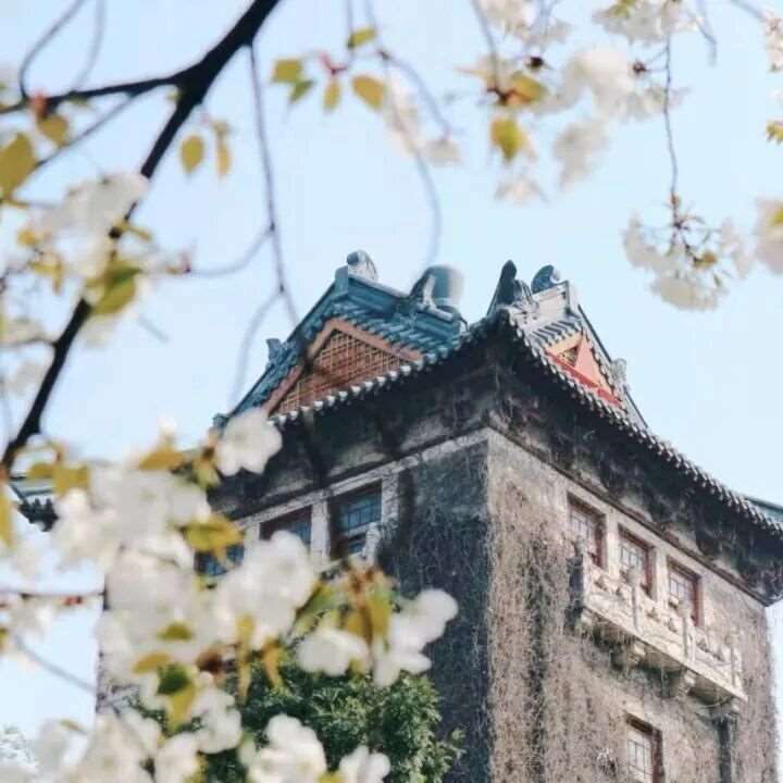 本科扩招300人！南京大学不断壮大新工科主阵地